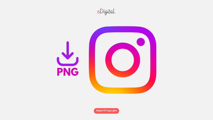 How to Use Instagram Category Data to Acquire Effective User Data